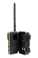 Wachman Discovery 4G