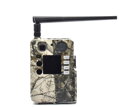 Bolyguard BG310-M