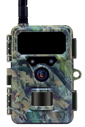 Wachman Discovery 4G