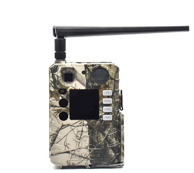 Bolyguard BG310-M