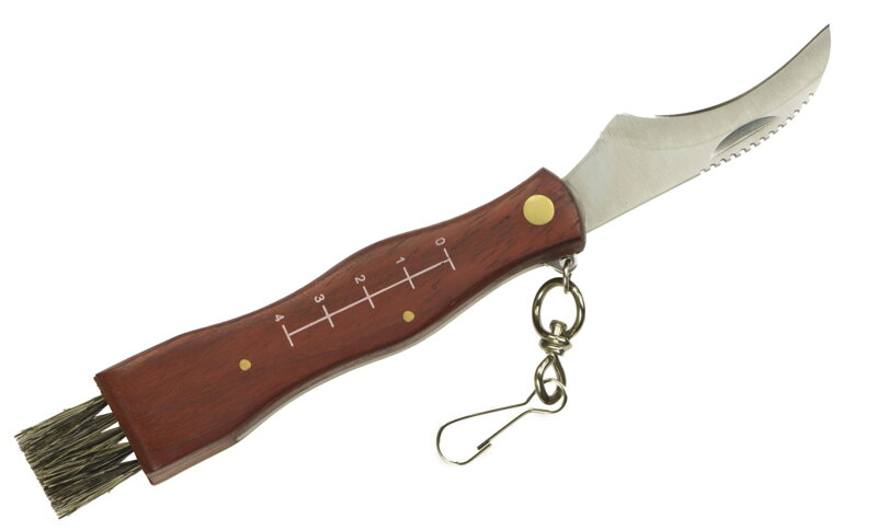 Mushroom knife Roy
