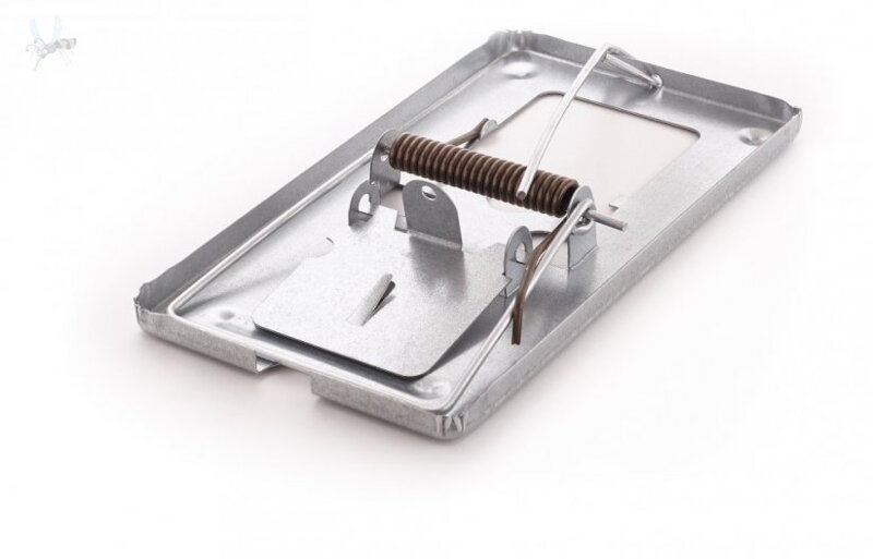 Galvanized metal mouse trap